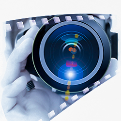 California Photography School